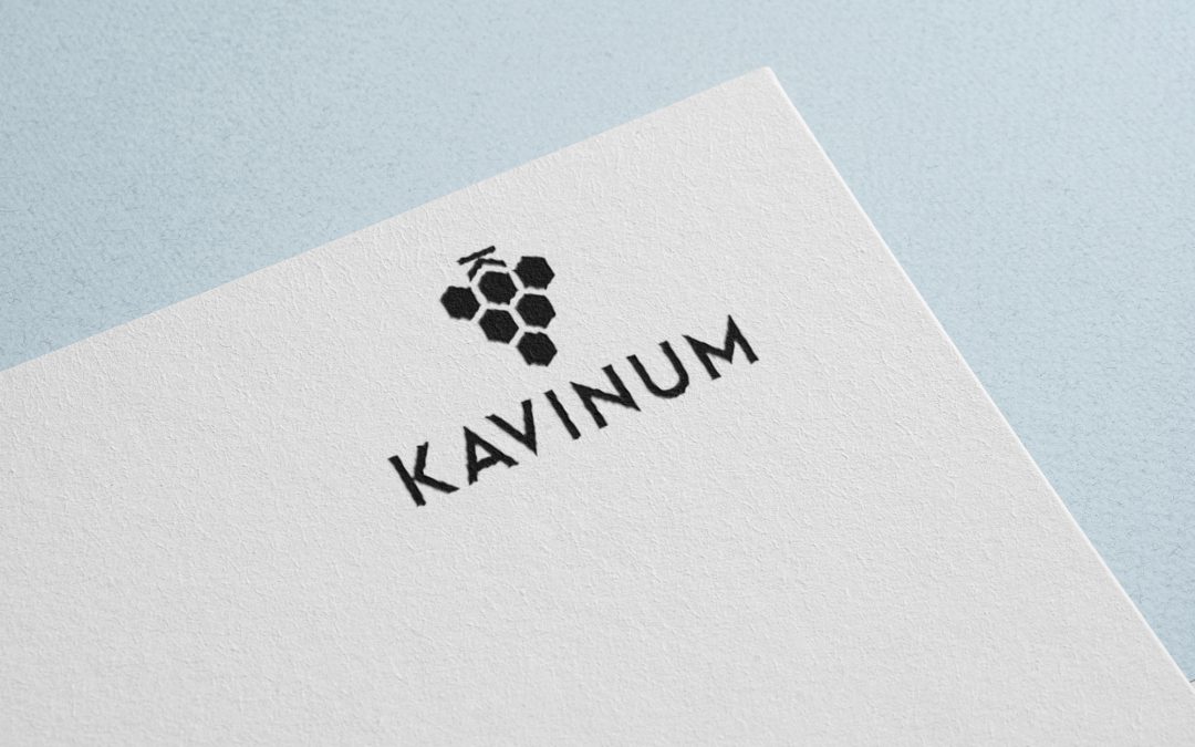 Logo KAVINUM