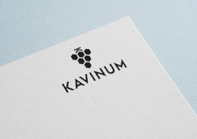 Logo KAVINUM