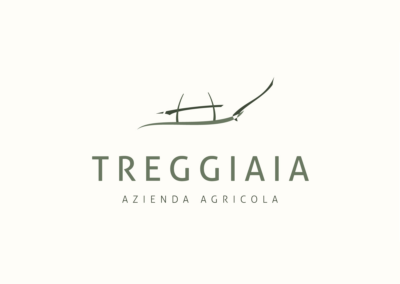Logo e grafiche Treggiaia